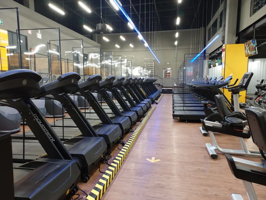 Fila de cintas y máquinas de cardio en la sala principal