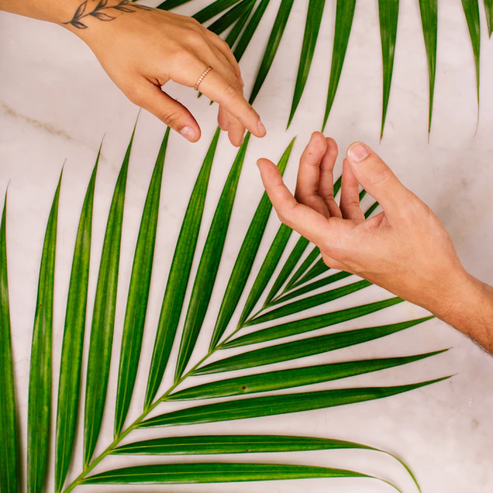 Detalle de manos junto a una hoja de palmera, símbolo de la cosmética natural